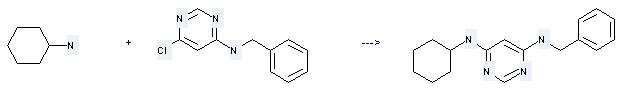 4-Pyrimidinamine, 6-chloro-N-(phenylmethyl)- can be used to produc N-Benzyl-N'-cyclohexyl-pyrimidine-4, 6-diamine.